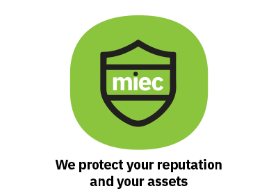 We protect your reputation and your assets icon